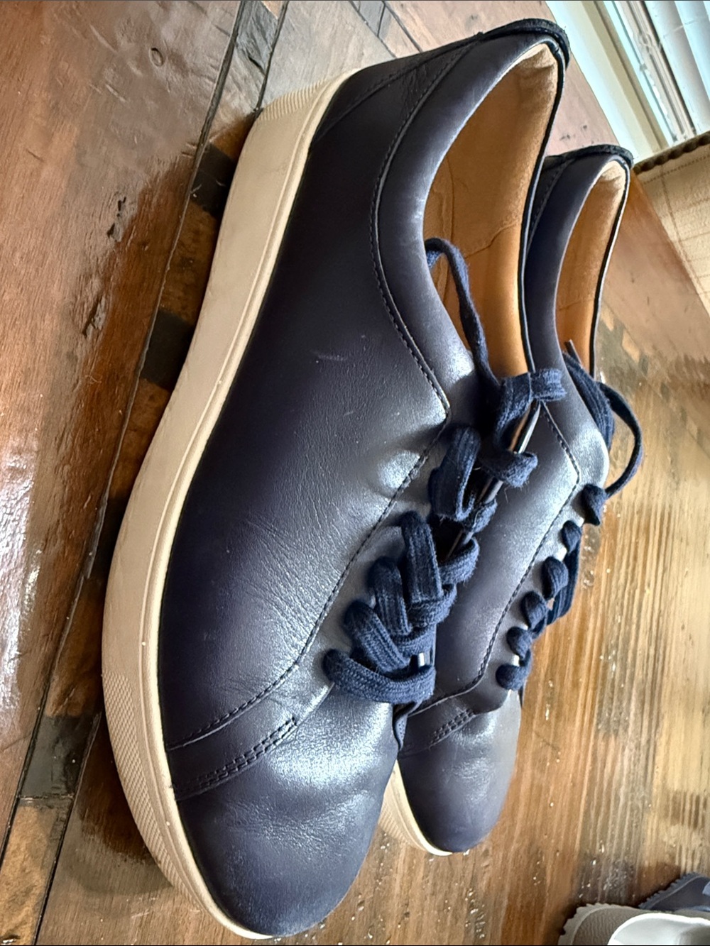 Fitflop Navy Leather Lace-Up Sneakers with Cream Soles